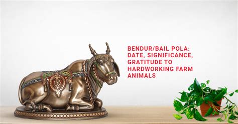 Bendur/Bail Pola: Date, Significance, Gratitude To  .